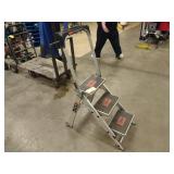 Little Giant Ladder...