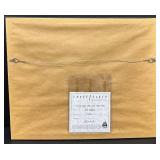 Framed Matt Dewater Mickey Mouse Rebel Pilot Signed Star Wars Art Print-Cert of Authenticity