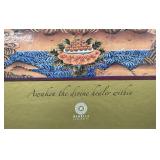 Goddesses of the Celestial Gallery by Romio Shrestha Large Hardcover Art Book