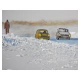 Original Acrylic Painting on Board by M. Ahrens ~ Ice Road Racing