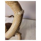 Taxidermy Mount Cobra vs. Mongoose, as