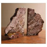 Petrified Wood Book Ends