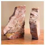 Petrified Wood Book Ends