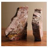 Petrified Wood Book Ends