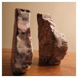 Petrified Wood Book Ends