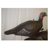 Decoy Turkeys