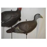 Decoy Turkeys