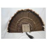 Turkey Fan Display