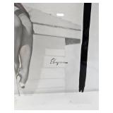 1961 Elvgren Pin-Up Girl on Roof Pre-Production Glass Printing Plate