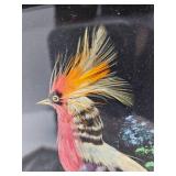 Lot of 2 Vintage Mexican Feather Craft Art Colorful Bird Pictures