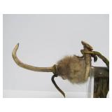 Genuine Native American Made Elk Horn Pipe - Red Hawk