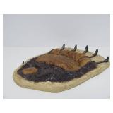 Large Grizzly Bear Footprint Impression Plaster Wall Sculpture