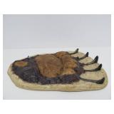 Large Grizzly Bear Footprint Impression Plaster Wall Sculpture