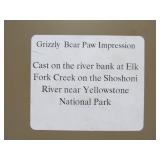 Large Grizzly Bear Footprint Impression Plaster Wall Sculpture