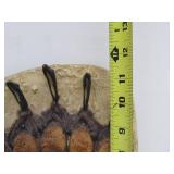 Large Grizzly Bear Footprint Impression Plaster Wall Sculpture