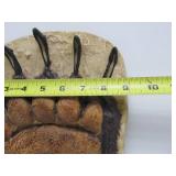 Large Grizzly Bear Footprint Impression Plaster Wall Sculpture