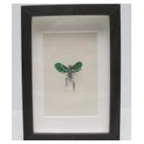 Shadowbox Framed Miniature Winged Skeleton Sculpture - Signed "C. Burton"