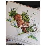Wildlife Relief Art Prints - Bobcat, Trout, Ducks, Dogs, and More
