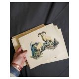 Large Lot of Wildlife and Rural Scene Art Prints and Illustrations