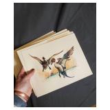 Large Lot of Wildlife and Rural Scene Art Prints and Illustrations