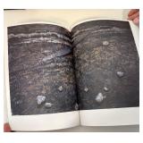 5 Vintage Art and Design Books including Knoll & Dali