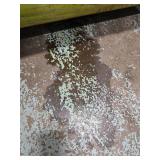 Mitsubishi FGC15 3000lb LP Forklift