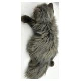 Plush Toys Lot - Benton Bear - JC Penney Limited Edition & Ty Beanie Animals