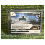 2009-10 Limited Team Trademarks Kevin Love Jersey /49