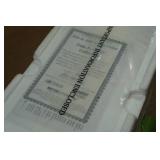 Hamilton Collection Dale Earnhardt Jr Guitar - Amp