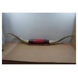 Authentic Texas Longhorn Mount