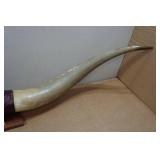 Authentic Texas Longhorn Mount