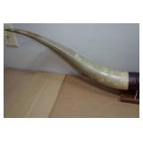 Authentic Texas Longhorn Mount