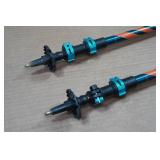 Noreast Hiking Poles