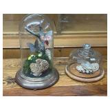 Decorative Cloche Set with Butterflies, Moss, and Fungi