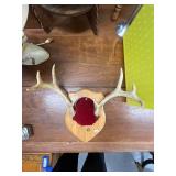 Mounted Deer Antlers on Wood Plaque and Decor Lot
