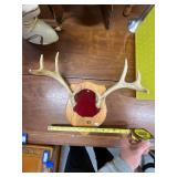 Mounted Deer Antlers on Wood Plaque and Decor Lot