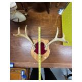 Mounted Deer Antlers on Wood Plaque and Decor Lot