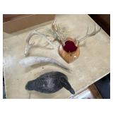 Mounted Deer Antlers on Wood Plaque and Decor Lot