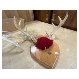 Mounted Deer Antlers on Wood Plaque and Decor Lot