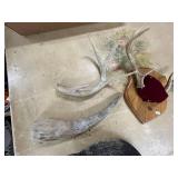 Mounted Deer Antlers on Wood Plaque and Decor Lot