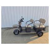2025 SDLANCH Electric Tricycle Mini Golf Cart (IRGC40)