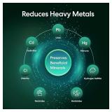 Brio Whole House Water Filter System