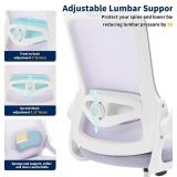 Nexthro Ergonomic Office Chair