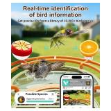 Camii Smart Bird Feeder with Solar Powered Camera