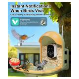 Camii Smart Bird Feeder with Solar Powered Camera