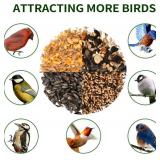 Solution4Patio Bird Feeder