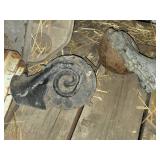 Lot of (2) Air Horns