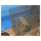 Lot of (2) Live Animal Traps