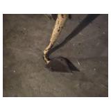 (1) Post Hole Digger, (2) Garden Hoes, (1) Field Cultivator Sweep