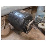 Lot of (1 shelf) Electric Motors